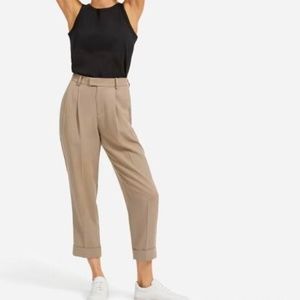 Everlane Pleat Pant in Clay